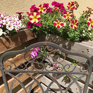  Apartment Naturapur